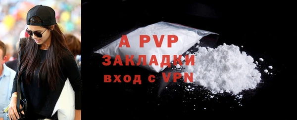 стафф Зерноград