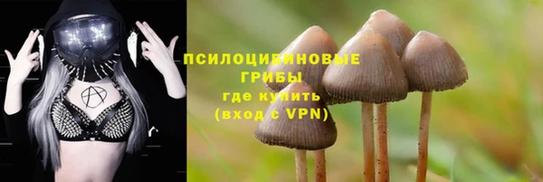 PSILOCYBIN Зеленокумск