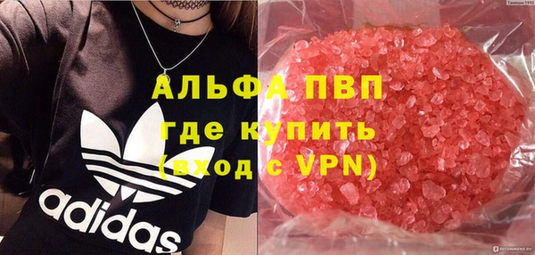 стафф Зерноград