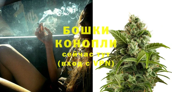 стафф Зерноград