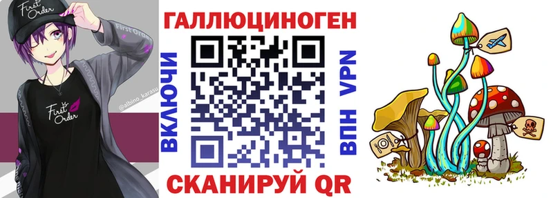 Купить  Гай  Псилоцибиновые грибы GOLDEN TEACHER 